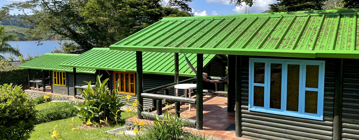 Vista Meson Ilama
